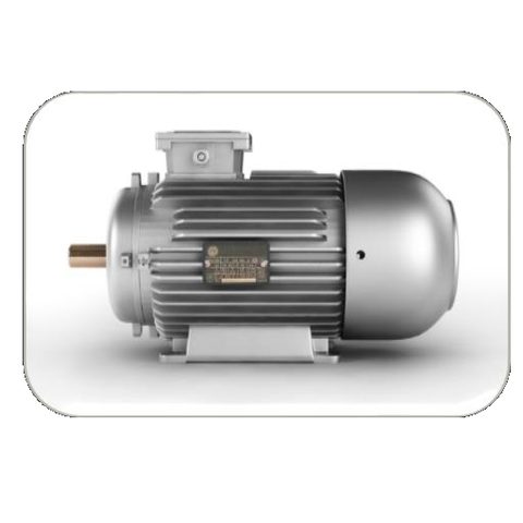 AC induction motor